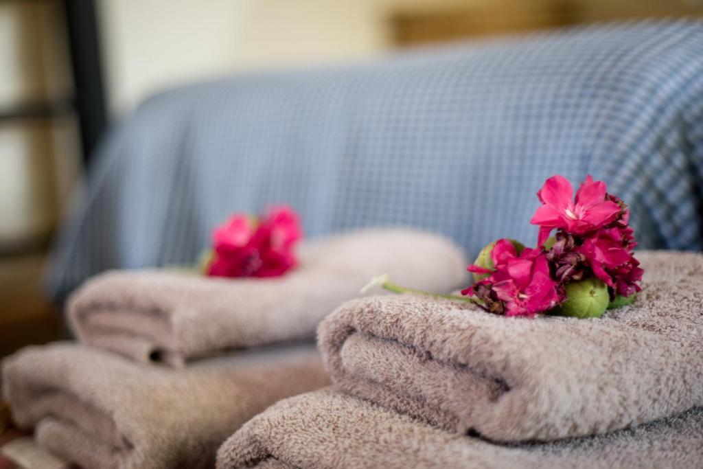 Etusis Lodge Usakos Phòng bức ảnh